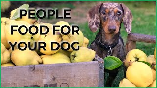 31 Human Foods For Your Dog [upl. by Annovad]