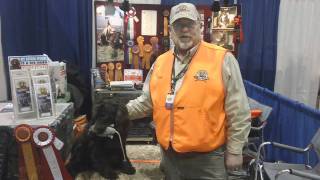 HuntEmUpcom  The Boykin Spaniel from Pheasant Fest [upl. by Witherspoon]