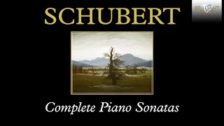 Schubert Complete Piano Sonatas [upl. by Yorgen]