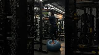 Gym Ball Squat [upl. by Elva]