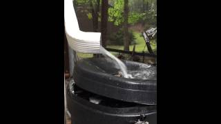 Ivy Rain Barrel  overflow demonstration [upl. by Ollopa172]