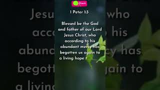 Blessed be the God  1 Peter 13  Bible quotes [upl. by Aiynat724]