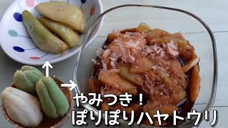 アク抜き不要簡単ハヤトウリの漬物味噌漬け＆醤油漬け [upl. by Ephrayim]