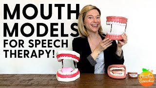 Mouth Models for Speech Therapy [upl. by Nealson]