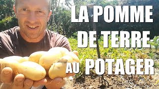 La POMME DE TERRE au potager [upl. by Suiddaht]