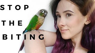 How To STOP Green Cheek Conure Biting and Make Them Listen To You [upl. by Hatfield]