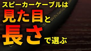 スピーカーケーブルで音が変わる理屈を完全に説明する [upl. by Alracal]