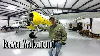 De Havilland Beaver Walkaround [upl. by Jain]