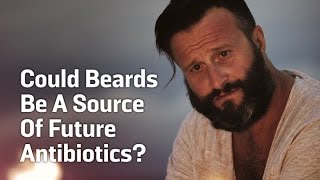 Beards May Contain Future Antibiotics [upl. by Reldnahc]