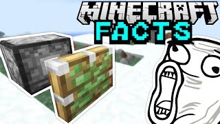 KLEBRIGER KOLBEN  Minecraft Facts 59  ConCrafter [upl. by Oberstone465]