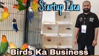 Start Fancy Birds Business With Only 20 Thousand  EARN MILLIONS [upl. by Elmajian]