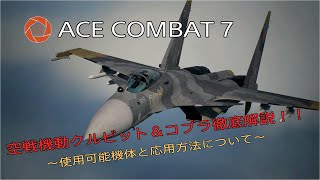 ACE COMBAT™ 7徹底解説？空戦機動クルビット＆コブラ ～これで君もあの黄色中隊の一員だ～ [upl. by Raasch]