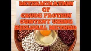 DETERMINATION OF CRUDE PROTEIN CONTENT USING KJELDHAL METHOD [upl. by Ennaxor]