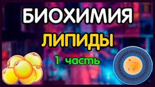 Биохимия Лекция 55 Липиды 1 часть [upl. by Eresed]