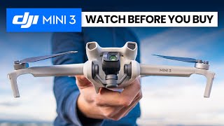 DJI MINI 3  NEW Budget Entry Level Beginner Drone [upl. by Nnyleuqcaj60]