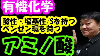 有機化学【酸性アミノ酸・塩基性アミノ酸・Sを持つ・ベンゼン環を持つアミノ酸】の覚え方 アミノ酸 必須アミノ酸 有機化学 [upl. by Asilet]