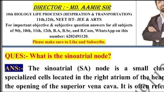 What is the sinoatrial node [upl. by Benge383]