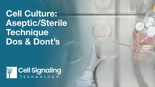 Cell Culture AsepticSterile Technique Dos amp Don’ts  CST Tech Tips [upl. by Goren]