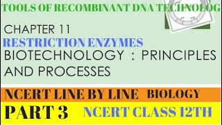 PART3 TOOLS OF RECOMBINANT DNA TECHNOLOGYRESTRICTION ENZYMESCHAPTER 11 NCERT CLASS 12TH BIOLOGY [upl. by Skutchan]