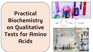 Qualitative test for amino acids [upl. by Aissirac884]