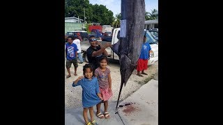 Billfish majuro Marshall Islands 2020 [upl. by Loraine]