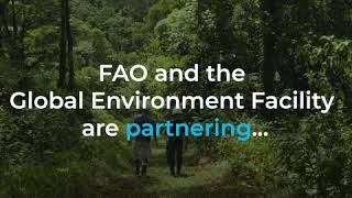 FAO and the Global Environment Facility partnering for the future of food and environment [upl. by Ellivro]