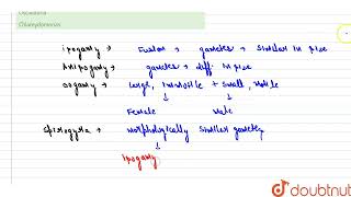 All isogamy anisogamy and oogamy are found in which of the following  12  PLANT KINGDOM [upl. by Ainaj447]