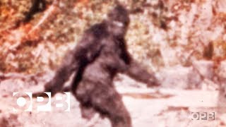 The Film That Made Bigfoot A Star  OPB [upl. by Lefton]