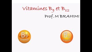 FOLATES ET VITAMINE B12 PARTIE 1 [upl. by Lanfri]