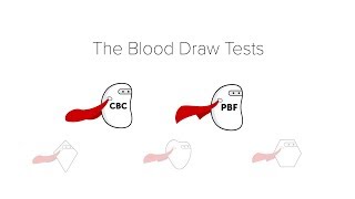 Complete Blood Count CBC amp Peripheral Blood Film [upl. by Aicilas787]