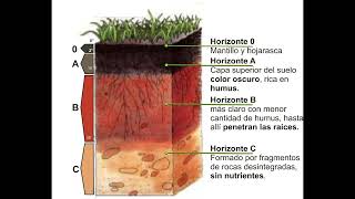 Mecánica de Suelos Macroestructura [upl. by Sitelc]