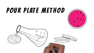 Isolation techniques  Pour plate method [upl. by Drud]