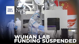 Biden Administration SUSPENDS Funding To Wuhan Lab [upl. by Zile]