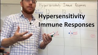 Hypersensitivity Immune Responses [upl. by Arocahs110]