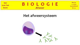 Biologie  Gezondheid  Het afweersysteem [upl. by Barbabra132]