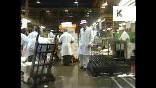 Mid 1990s Billingsgate Fish Market London Archive Footage [upl. by Newfeld925]