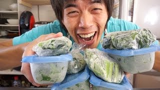 材料を凍らせるだけでグリーンスムージーが激的に旨くなる事が判明！  Green Smoothie [upl. by Rehpotsirahc]