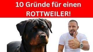 Die 10 wichtigsten Gründe für einen Rottweiler 🐶 [upl. by Percival901]