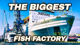 Worlds LARGEST Floating Fish Processing Vessel  Episode 2 [upl. by Nameerf]