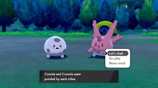 Camping With Johtonian amp Galarian Corsola Together  Pokemon Sword amp Shield [upl. by Dickey]