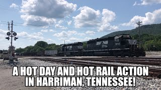 Hot action on a hot day in Harriman Tennessee [upl. by Lauzon]