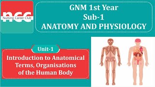 GNM  111  INTRODUCTION TO ANATOMICAL TERMS amp ORGANISATIONS OF THE HUMAN BODY [upl. by Telimay]