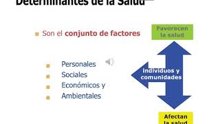 Determinantes Sociales de la Salud [upl. by Ashley]