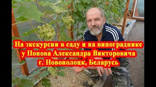 На экскурсии в саду и на винограднике у Попова Александра Викторовича гНовополоцк север Беларуси [upl. by Isak]