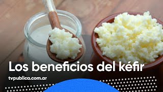 Como hacer Kéfir y todos los beneficios que aporta  Mañanas Públicas [upl. by Ellata]