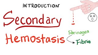 Secondary Hemostasis  How Your Blood Clots Coagulation  Hematology [upl. by Mowbray192]