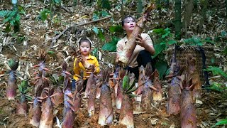 Single Mother harvests bamboo shoots to sell to earn money to support her daughter [upl. by Nagol]