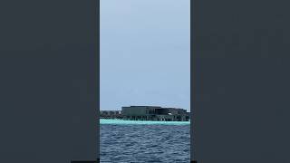 Patina Maldives over water villa shortvideo travel [upl. by Naillimxam]