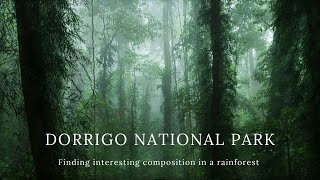 Dorrigo National park  Landscape photography [upl. by Ahsima]