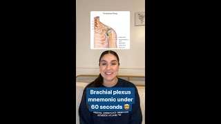 Memorize the Brachial Plexus [upl. by Einhapets]